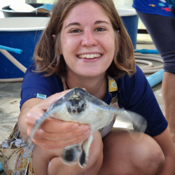 Turtle and Marine Conservation (Nov - March Only)